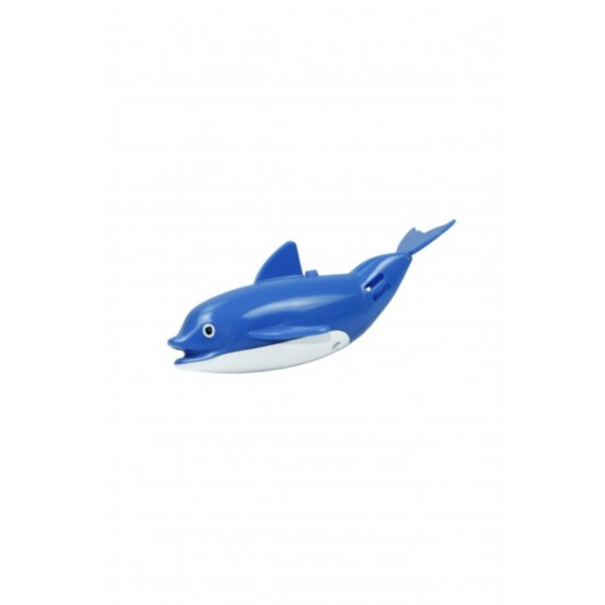 Kutulu Sevimli Yüzücü Yunus Balığı