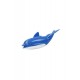 Kutulu Sevimli Yüzücü Yunus Balığı