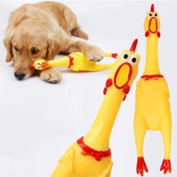 Öten Tavuk Köpek Oyuncağı Large 36 Cm